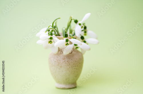 Obraz na płótnie snowdrops close-up w salonie