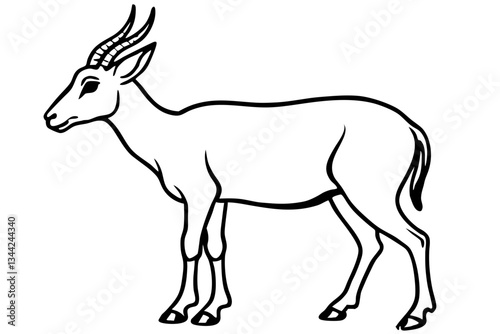 Elegant Saiga Antelope Sketch