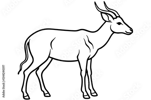 Elegant Saiga Antelope Sketch