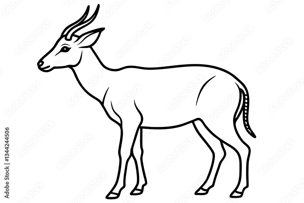 Fototapeta premium Elegant Saiga Antelope Sketch