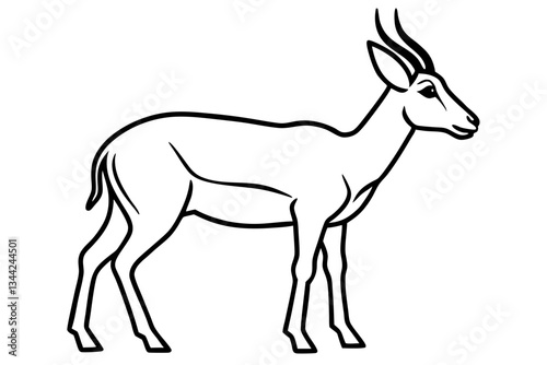 Elegant Saiga Antelope Sketch