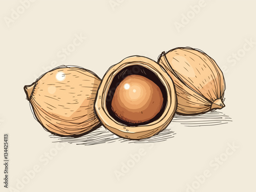 Close-up of three almonds on transparent background highlighting natural texture