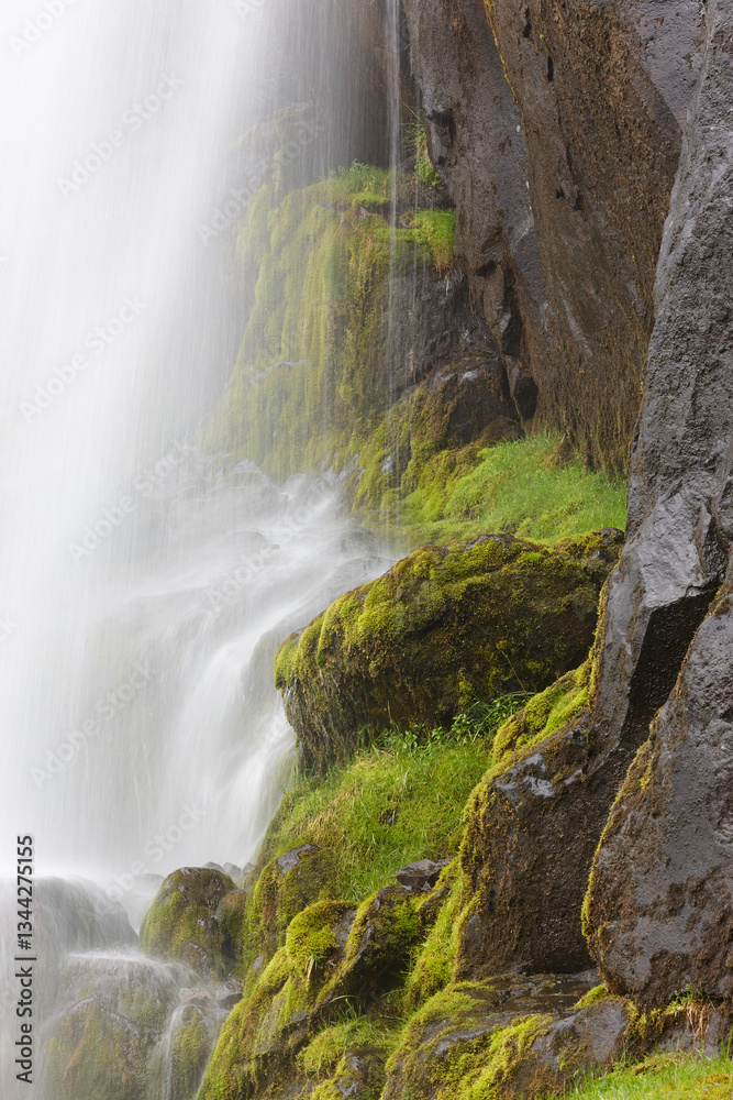 Waterfall and basalt rocks covered by moss. Seydisfjordur. Iceland