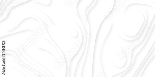 White paper cut decoration textured with wavy layers 3d topography relief background. minimal topography map light element shadow landscape wave element curve graphic papercut design.
