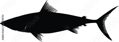 Mackerel Silhouette - Black and White Vector Illustration of Fast Ocean Fish, Marine Wildlife, Sport Fishing, Nautical Art