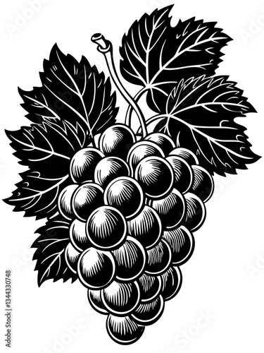 Vintage Grapes: A classic black and white illustration showcasing a detailed bunch of grapes, complete with leaves and a stem, evoking a sense of timelessness and rustic charm.