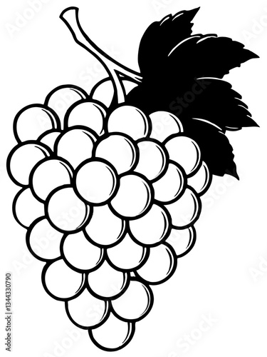 Grape Cluster Illustration: A detailed monochrome illustration showcases a ripe cluster of grapes, accompanied by a textured leaf, all rendered in a clean, bold style.