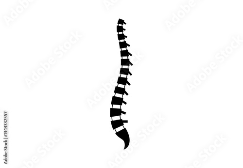 Spine medical poster