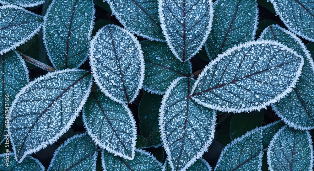 Obraz premium seamless pattern
