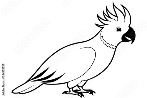 cockatoo line art silhouette vector illustration