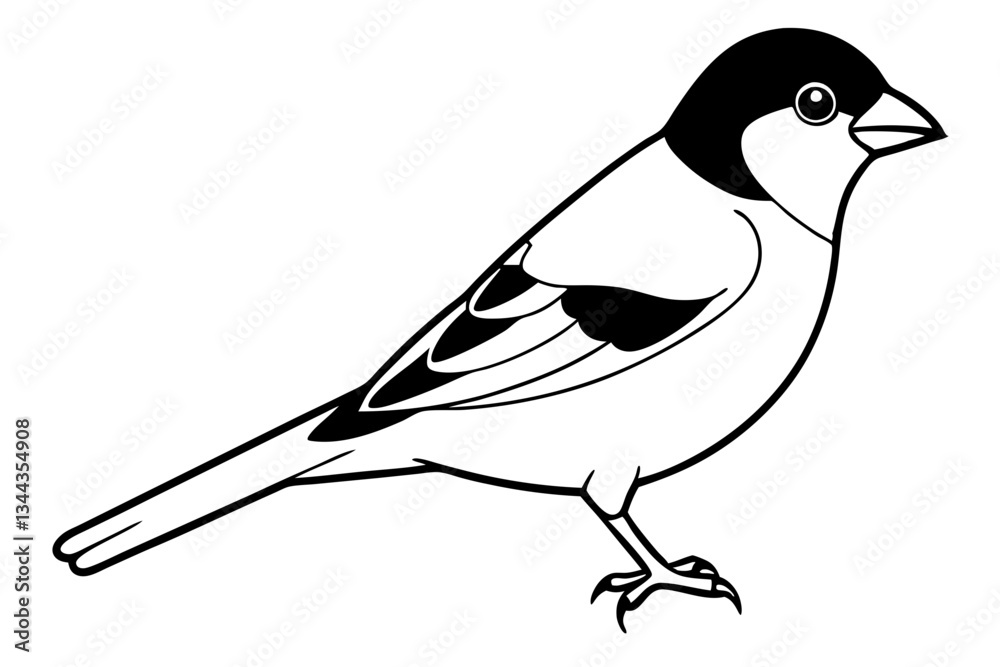 Obraz premium finch line art silhouette vector illustration