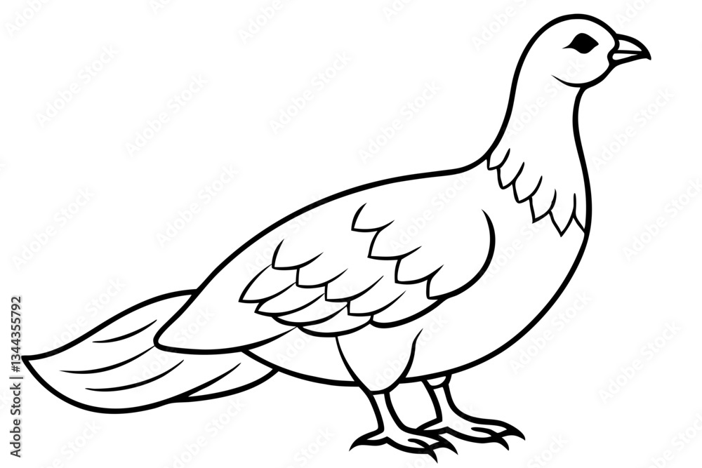 grouse line art silhouette vector illustration grouse line art silhouette vector illustration