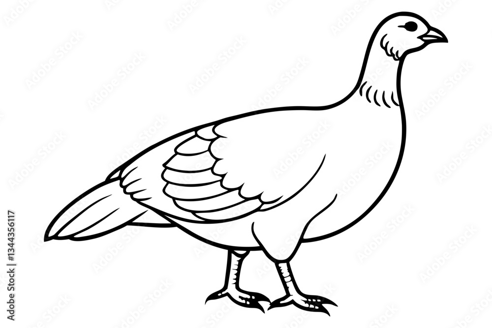 Obraz premium grouse line art silhouette vector illustration