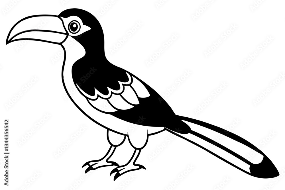 Obraz premium hornbill line art silhouette vector illustration