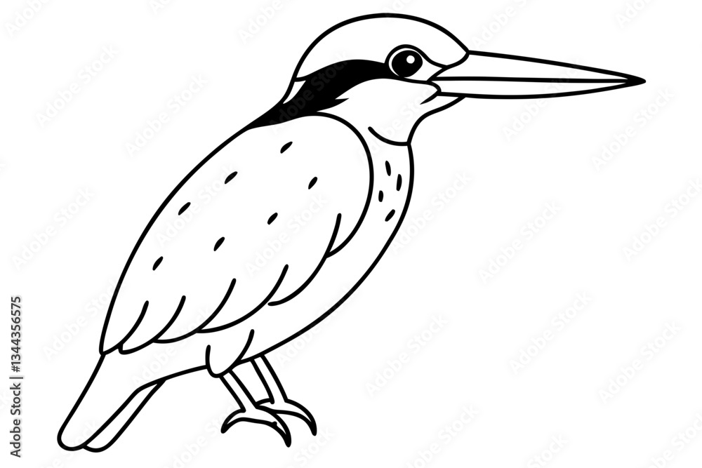 Fototapeta premium kingfisher line art silhouette vector illustration