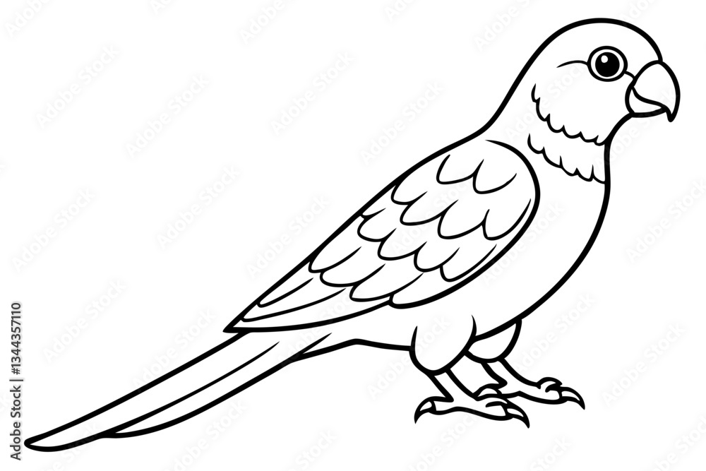 Fototapeta premium lorikeet line art silhouette vector illustration