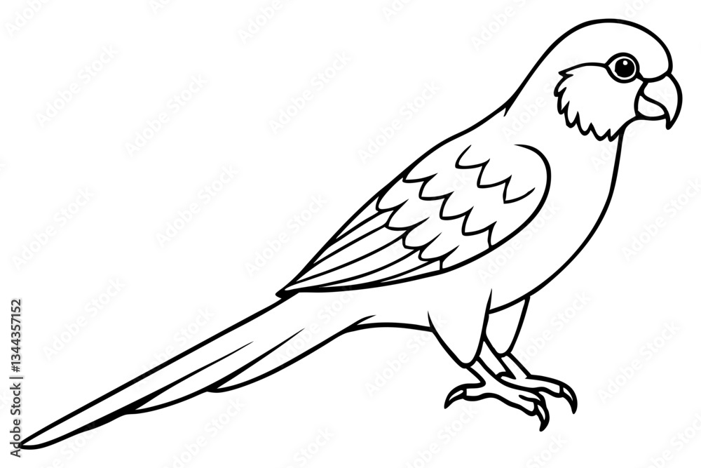 Obraz premium lorikeet line art silhouette vector illustration