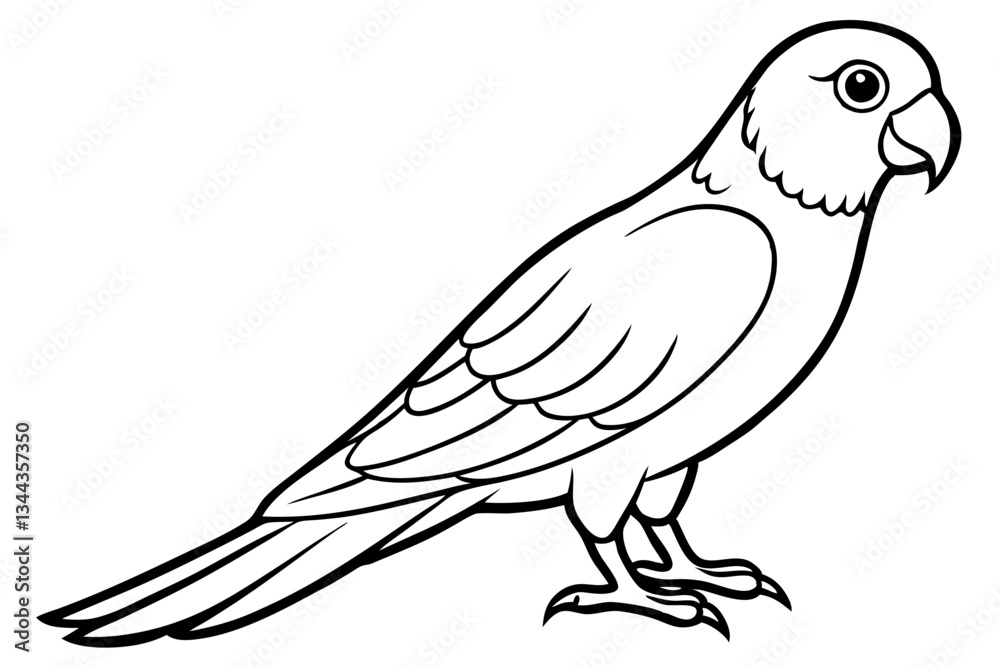 Obraz premium lorikeet line art silhouette vector illustration