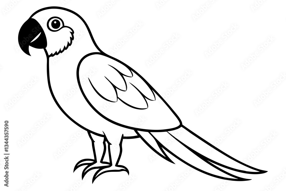 Obraz premium macaw line art silhouette vector illustration