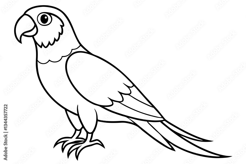 Fototapeta premium macaw line art silhouette vector illustration
