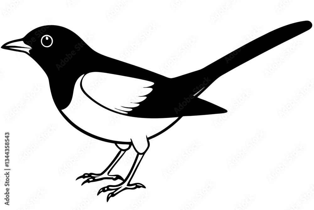 Obraz premium nightingale line art silhouette vector illustration