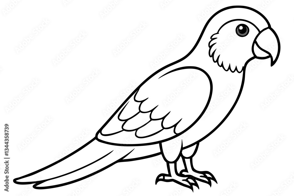 Fototapeta premium parrot line art silhouette vector illustration
