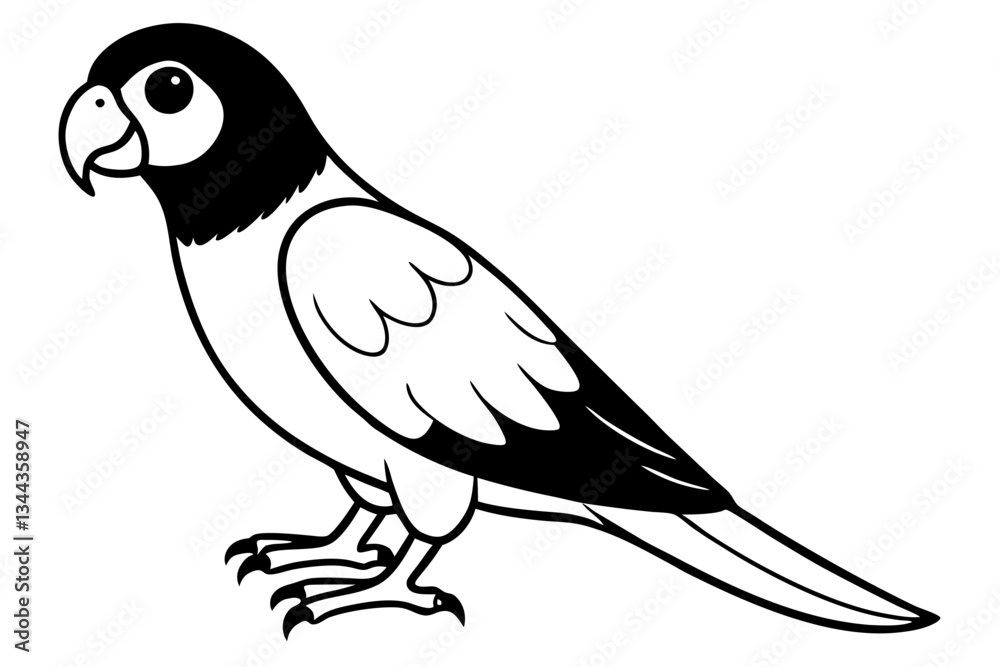 Fototapeta premium parrot line art silhouette vector illustration