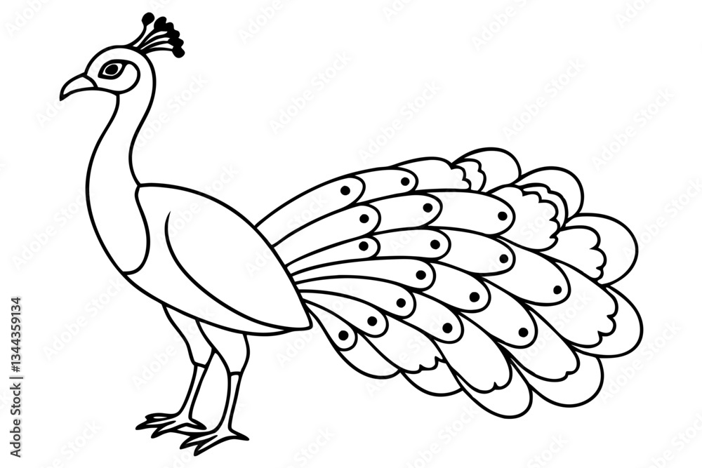 Fototapeta premium peacock line art silhouette vector illustration