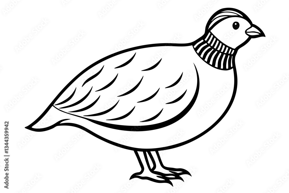 Fototapeta premium quail line art silhouette vector illustration