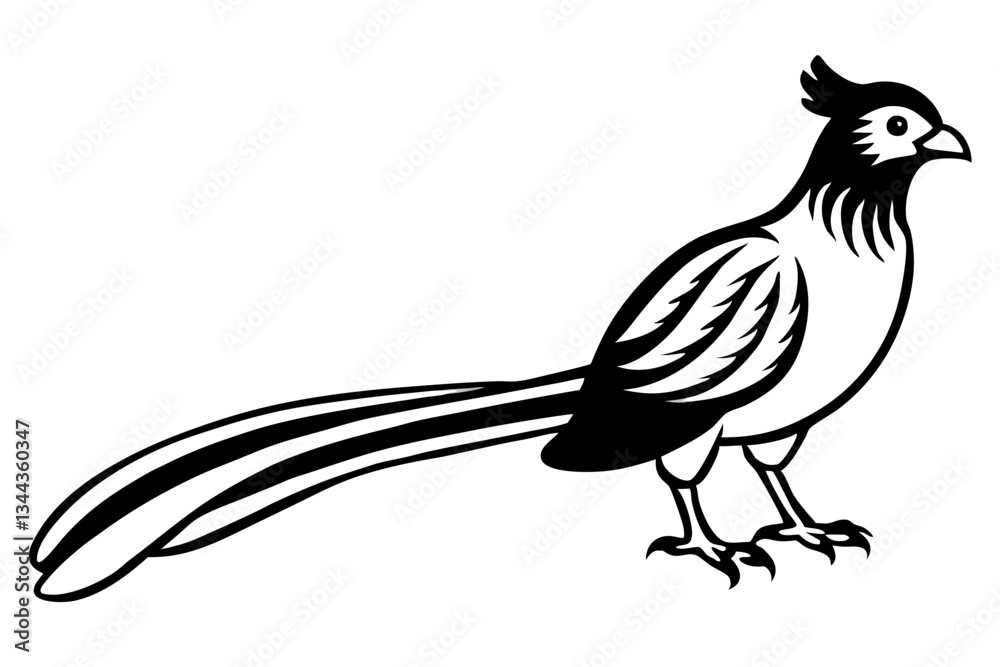 Fototapeta premium quetzal line art silhouette vector illustration