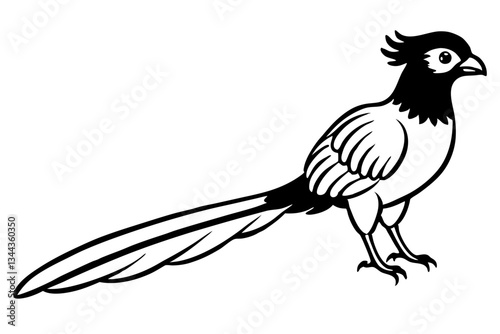 quetzal line art silhouette vector illustration