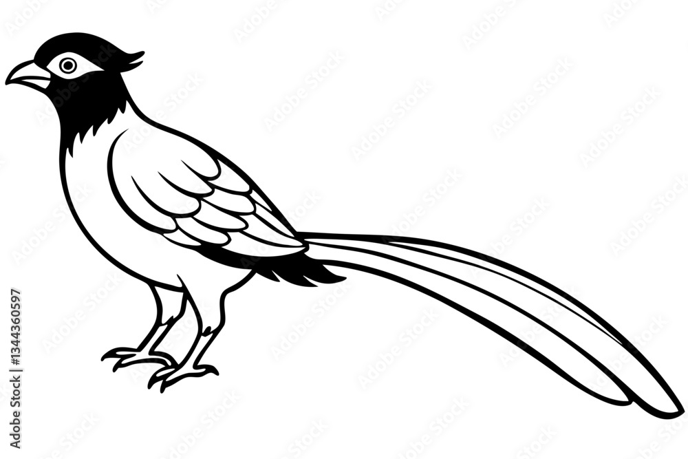 Fototapeta premium quetzal line art silhouette vector illustration