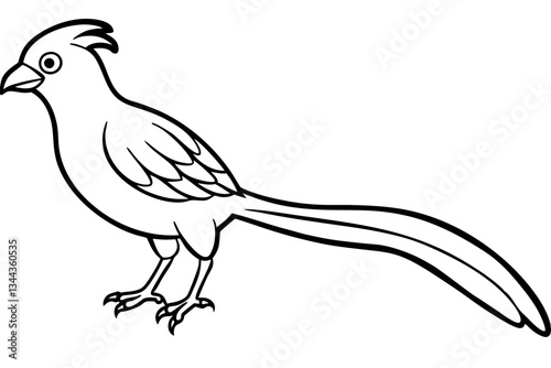 quetzal line art silhouette vector illustration