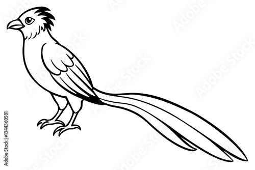 quetzal line art silhouette vector illustration