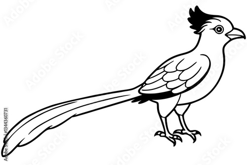 quetzal line art silhouette vector illustration