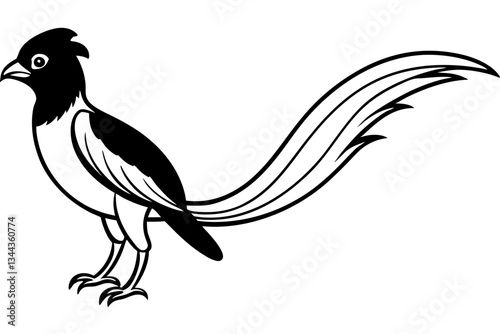 quetzal line art silhouette vector illustration