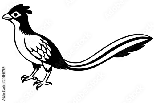 quetzal line art silhouette vector illustration