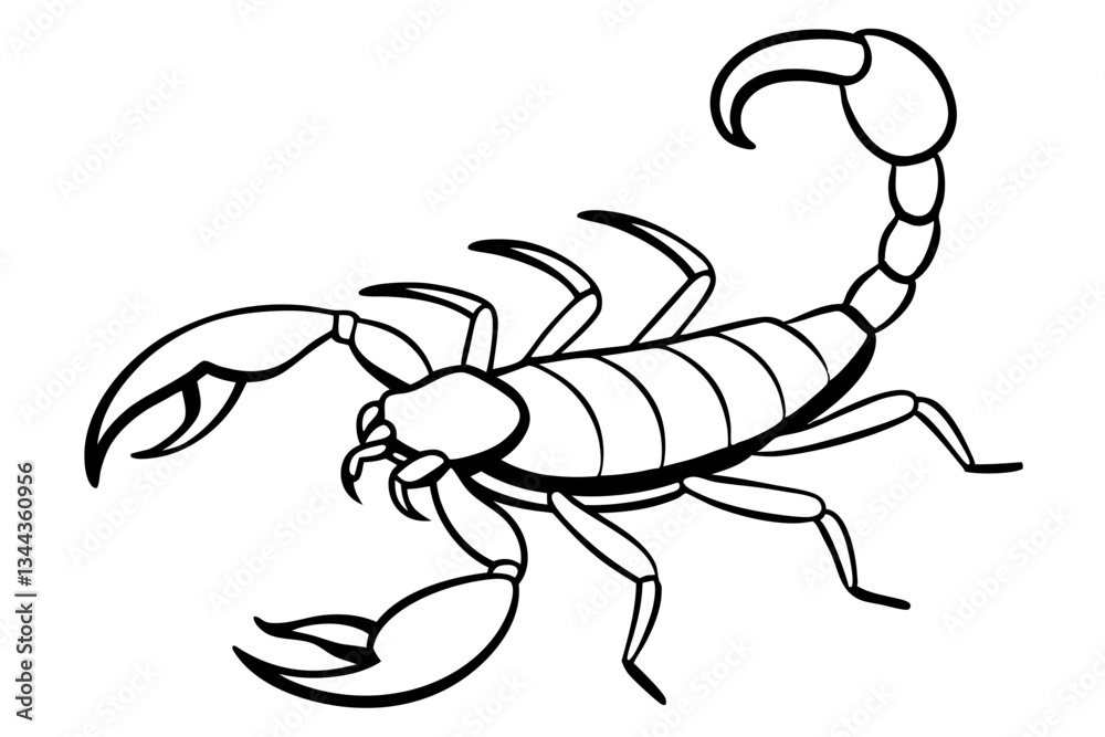scorpion line art silhouette vector illustration scorpion line art silhouette vector illustration
