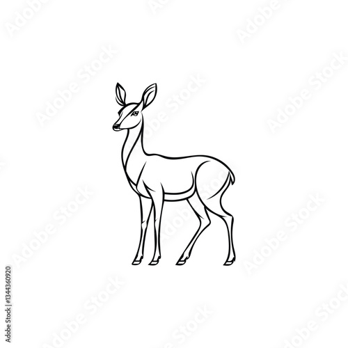 deer vector illustration