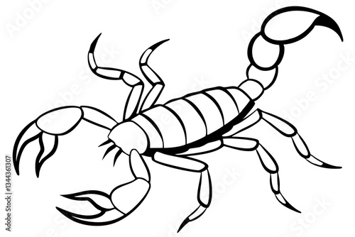 scorpion line art silhouette vector illustration