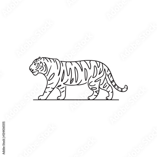 Tiger vector illustration 