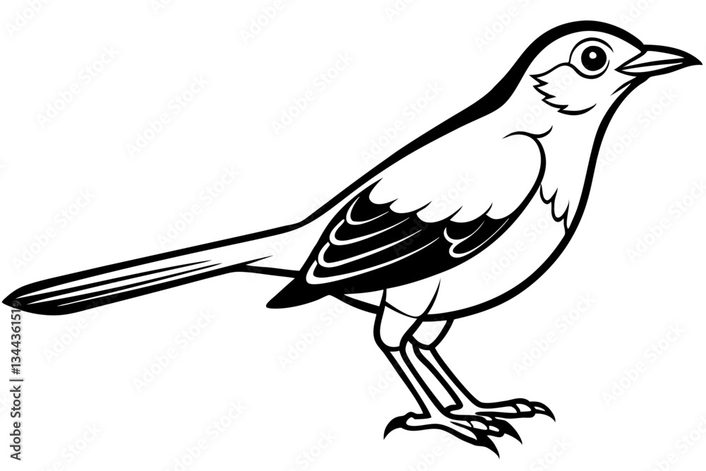 Fototapeta premium thrush line art silhouette vector illustration