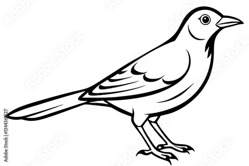 thrush line art silhouette vector illustration