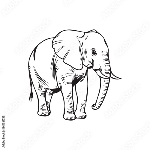 Big Elephant vector coloring page