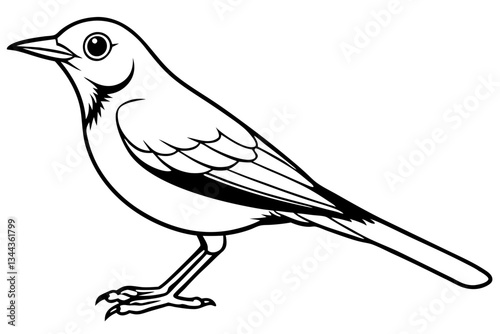 thrush line art silhouette vector illustration