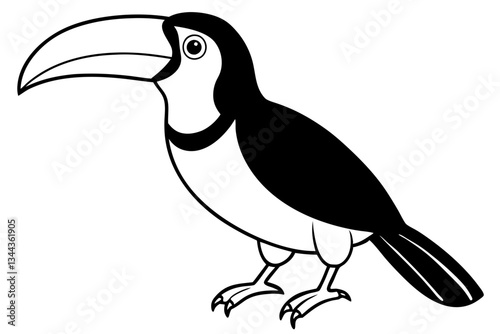 toucan line art silhouette vector illustration