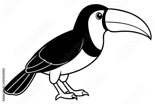 toucan line art silhouette vector illustration