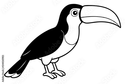 toucan line art silhouette vector illustration