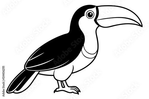 toucan line art silhouette vector illustration