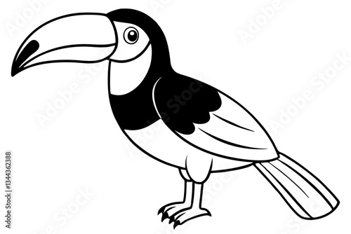 toucan line art silhouette vector illustration